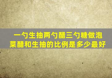 一勺生抽两勺醋三勺糖做泡菜醋和生抽的比例是多少最好
