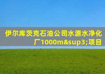 伊尔库茨克石油公司水源水净化厂1000m³项目