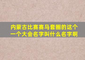 内蒙古比赛赛马套圈的这个一个大会名字叫什么名字啊