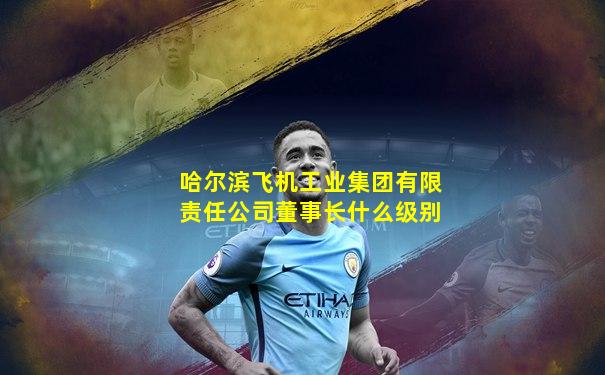 哈尔滨飞机工业集团有限责任公司董事长什么级别