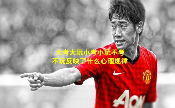 大考大玩小考小玩不考不玩反映了什么心理规律