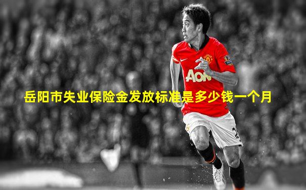 岳阳市失业保险金发放标准是多少钱一个月