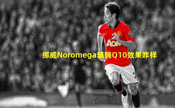 挪威Noromega辅酶Q10效果咋样