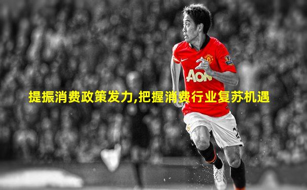 提振消费政策发力,把握消费行业复苏机遇
