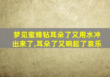 梦见蜜蜂钻耳朵了又用水冲出来了,耳朵了又响起了哀乐