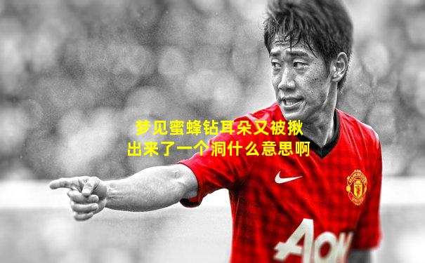 梦见蜜蜂钻耳朵又被揪出来了一个洞什么意思啊