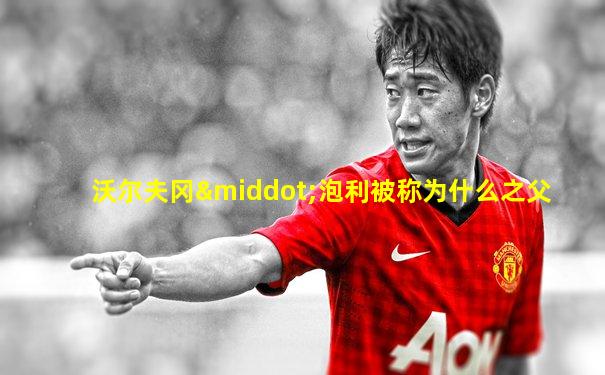 沃尔夫冈·泡利被称为什么之父