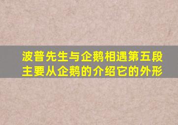 波普先生与企鹅相遇第五段主要从企鹅的介绍它的外形