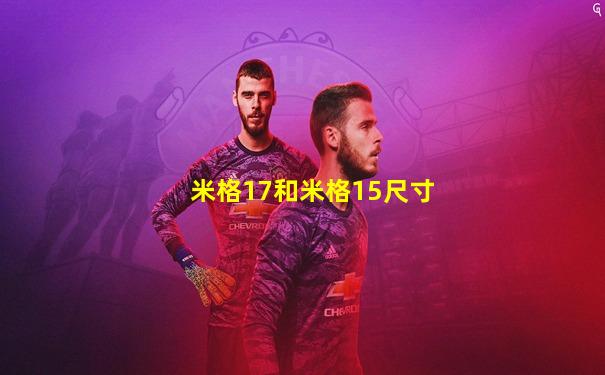 米格17和米格15尺寸
