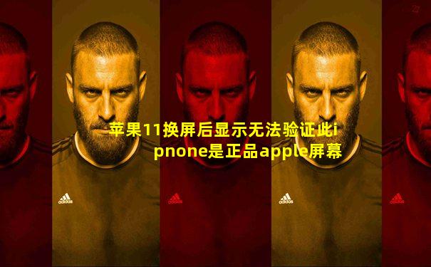 苹果11换屏后显示无法验证此ipnone是正品apple屏幕