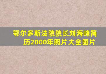 鄂尔多斯法院院长刘海峰简历2000年照片大全图片