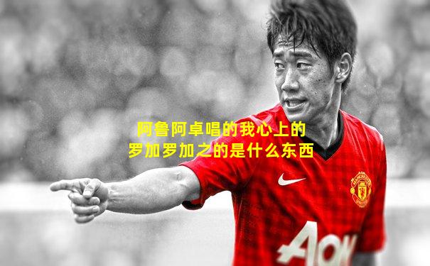 阿鲁阿卓唱的我心上的罗加罗加之的是什么东西
