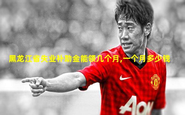 黑龙江省失业补助金能领几个月,一个月多少钱