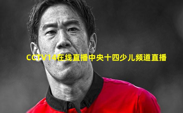 CCTV14在线直播中央十四少儿频道直播
