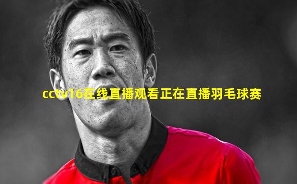 cctv16在线直播观看正在直播羽毛球赛