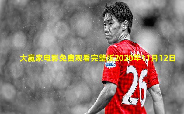 大赢家电影免费观看完整版2020年11月12日