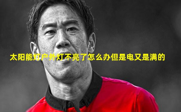 太阳能灯户外灯不亮了怎么办但是电又是满的