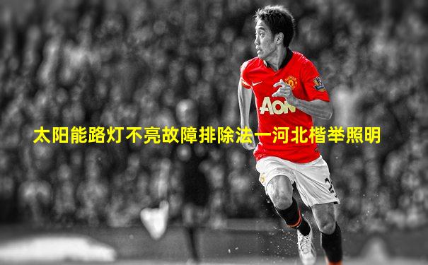 太阳能路灯不亮故障排除法一河北楷举照明