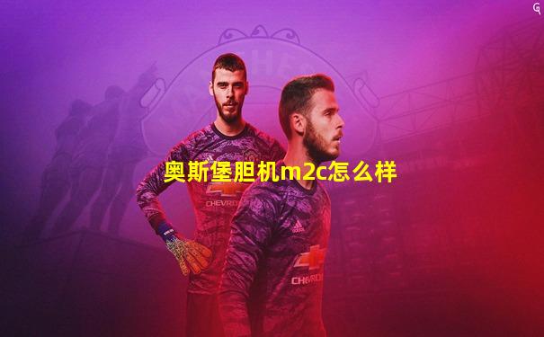 奥斯堡胆机m2c怎么样