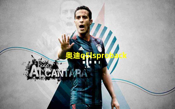 奥迪q5lsproback
