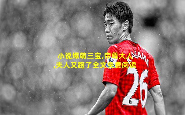 小说爆萌三宝,帝尊大人,夫人又跑了全文免费阅读