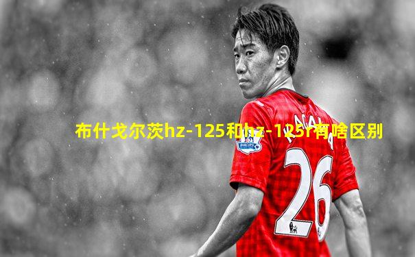 布什戈尔茨hz-125和hz-125r有啥区别