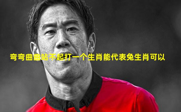 弯弯曲曲站不起打一个生肖能代表兔生肖可以