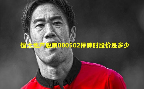 恒大地产股票000502停牌时股价是多少