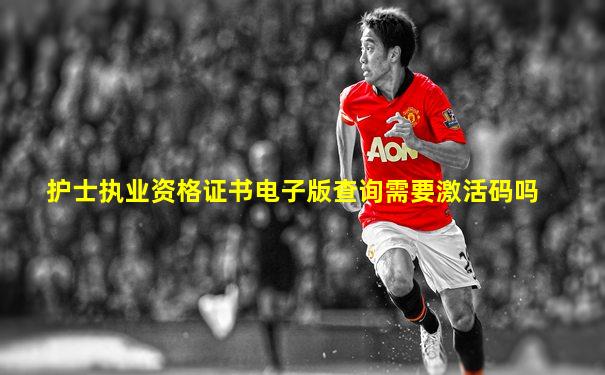 护士执业资格证书电子版查询需要激活码吗