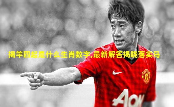 揭竿四起是什么生肖数字,最新解答揭晓落实马
