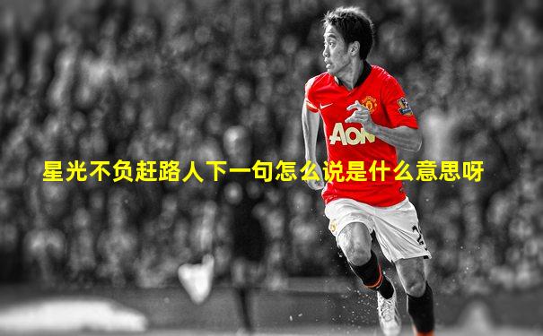 星光不负赶路人下一句怎么说是什么意思呀