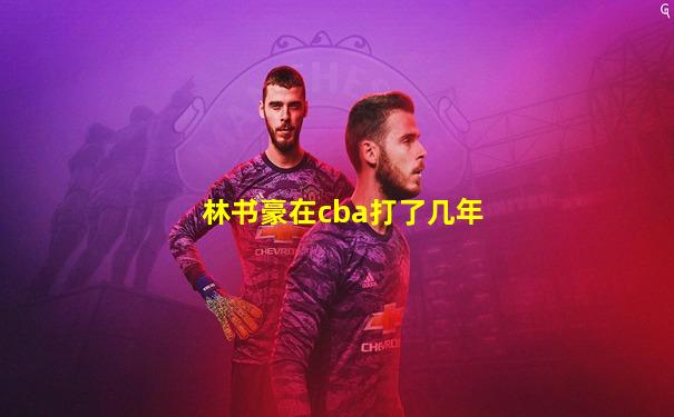 林书豪在cba打了几年