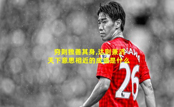 穷则独善其身,达则兼济天下意思相近的成语是什么