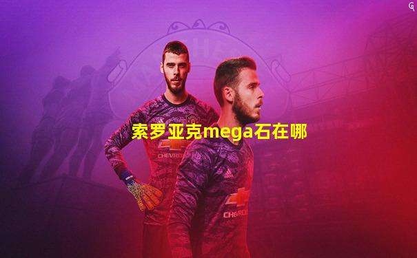 索罗亚克mega石在哪