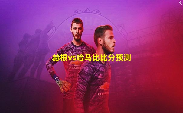 赫根vs哈马比比分预测