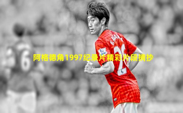 阿格德角1997纪录片精彩片段摘抄
