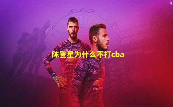 陈登星为什么不打cba