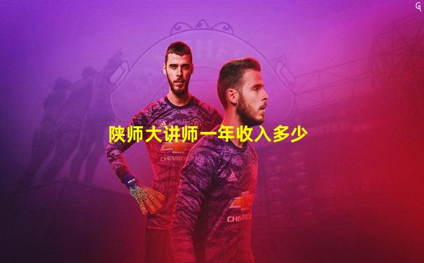 陕师大讲师一年收入多少