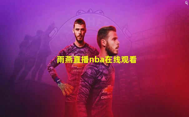 雨燕直播nba在线观看