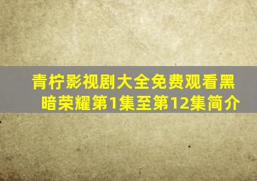 青柠影视剧大全免费观看黑暗荣耀第1集至第12集简介